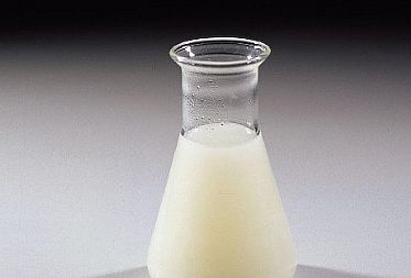 開門見山！您想要知道的關(guān)于食品乳化劑型號(hào)功效的一切都在這里了！